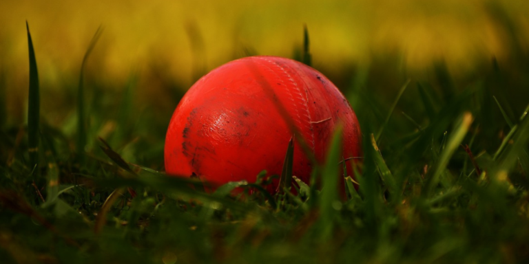 What to do when rain interrupts your backyard cricket match? Tips for a makeshift indoor game!